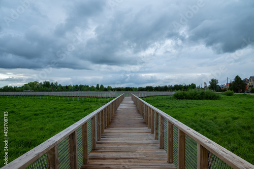 Wooden walk track in green park