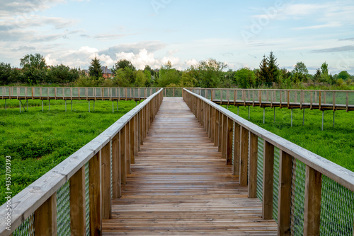 Wooden walk track in green park © Arturs