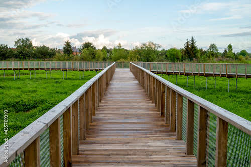 Wooden walk track in green park