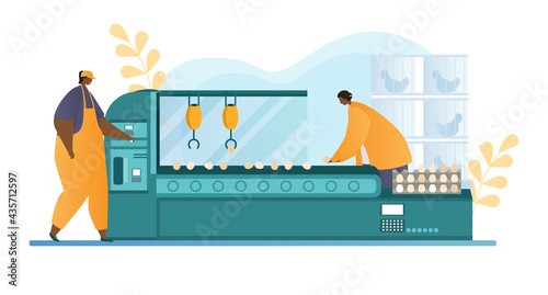 Chicken egg poultry farm packaging production line
