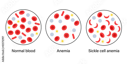 Blood structure concept