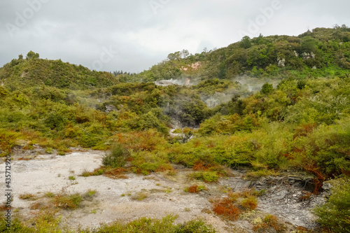 Geothermal Valley Te Puia