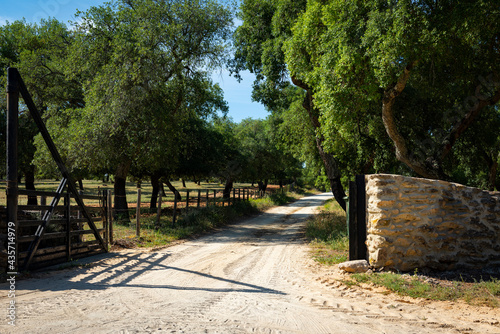 Entrada a un camino rural con árboles.