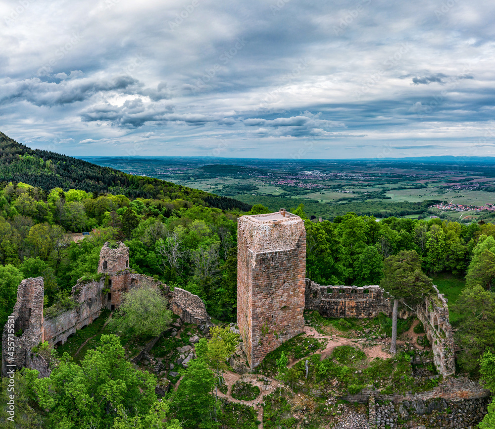 Medieval Castle Landsberg in Vosges, Alsace. Aerial view of the castle ruins, filmed from a drone.