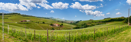 Landscape of Langhe and its vineyards