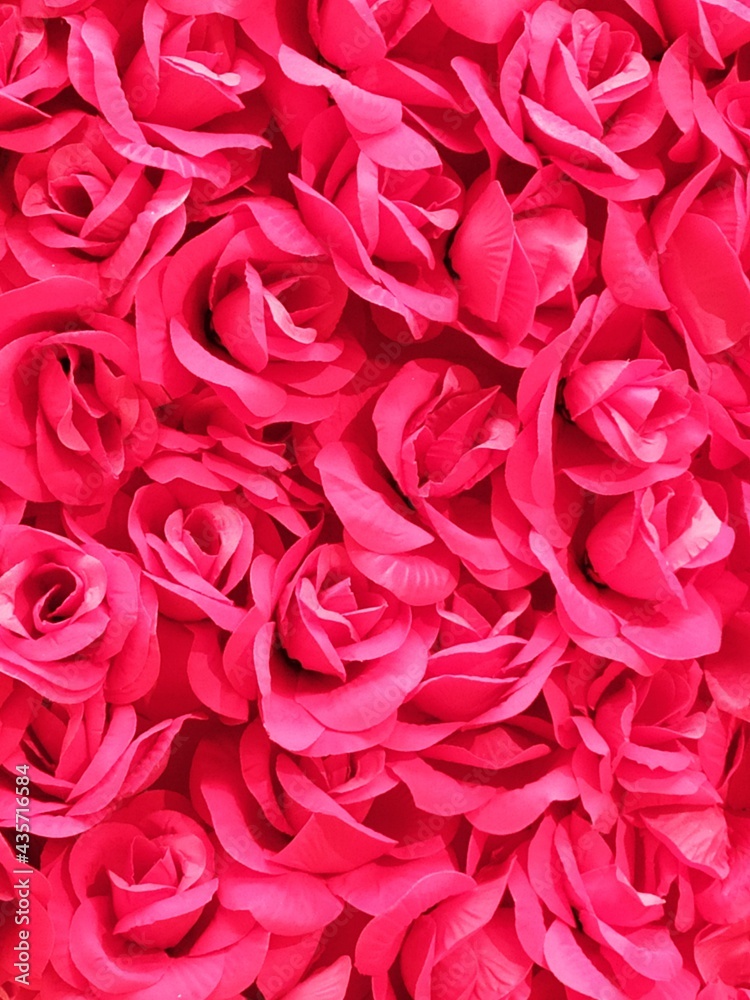 Background of buds and petals of pink roses