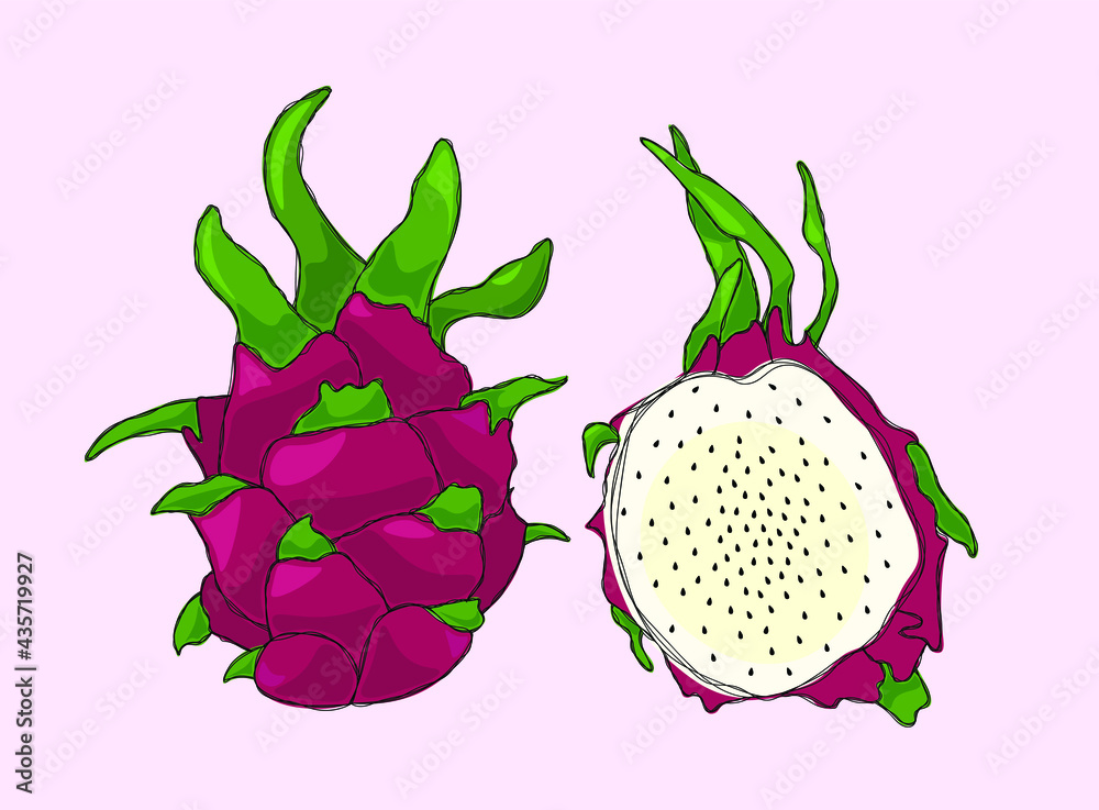 Dragon fruit Dragon fruit