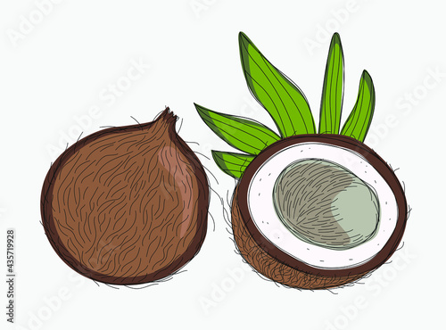 Coconut