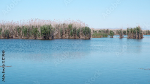 River and grass natural Turkey Sultan Sazligi