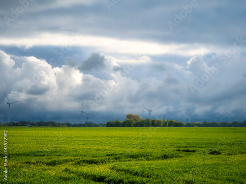 clouds over the field
