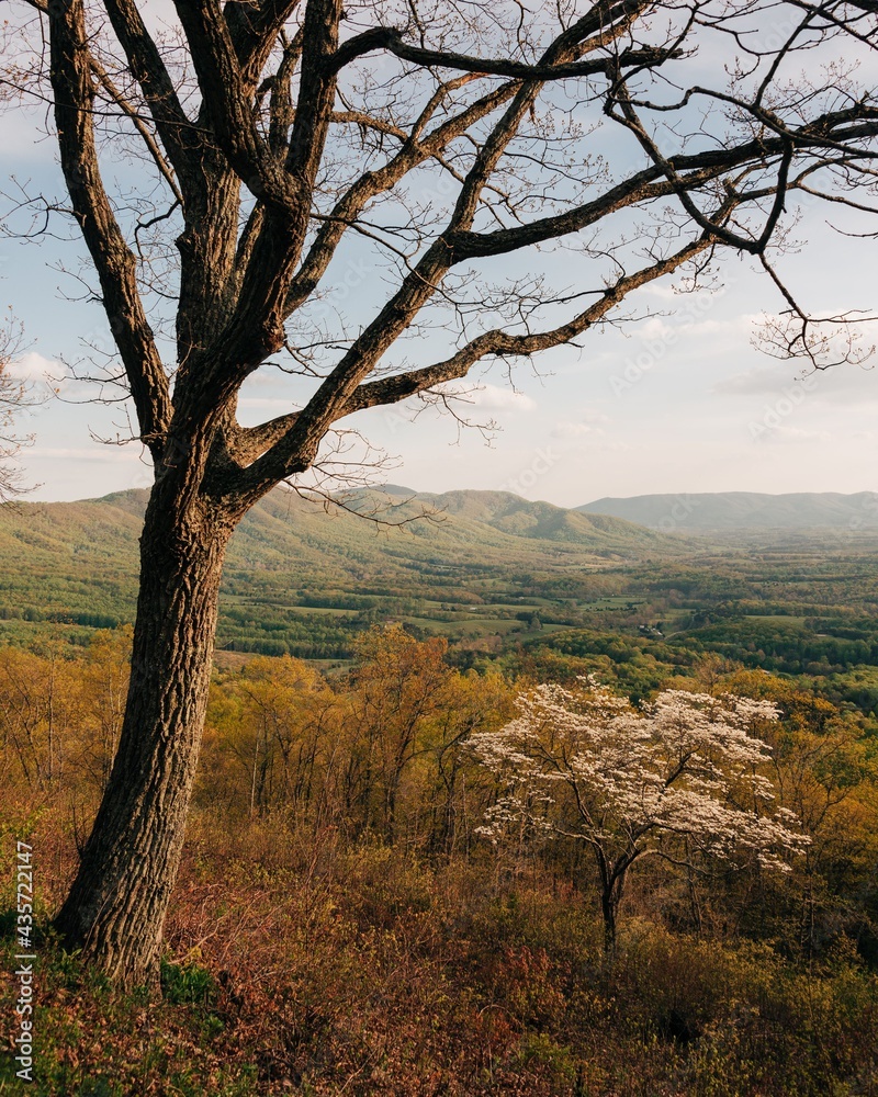 Early spring view on the Blue Ridge Parkway, near Roanoke, Virginia Early spring view on the Blue Ridge Parkway, near Roanoke, Virginia