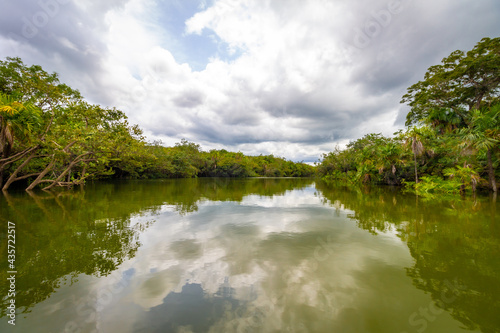 lake in the forest