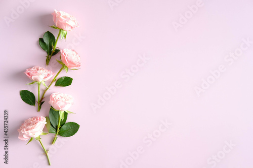Rose flowers on pink background. Greeting card mockup for Mother's Day or birthday.