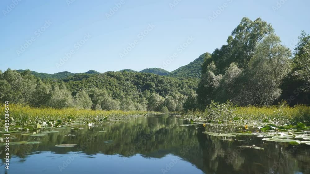 Crnojevicha river and Skadar lake view from the boat Crnojevicha river and Skadar lake view from the boat