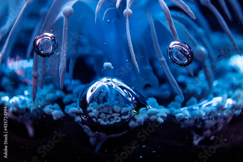 water drops on glass