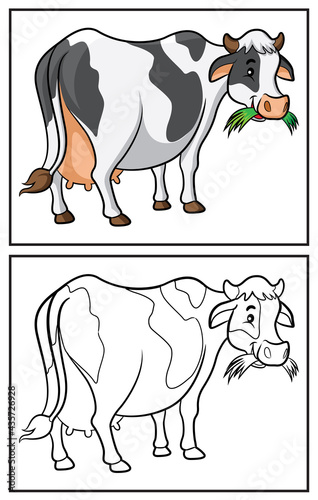 Coloring book cute cow.  Coloring page and colorful clipart character. Vector cartoon illustration.