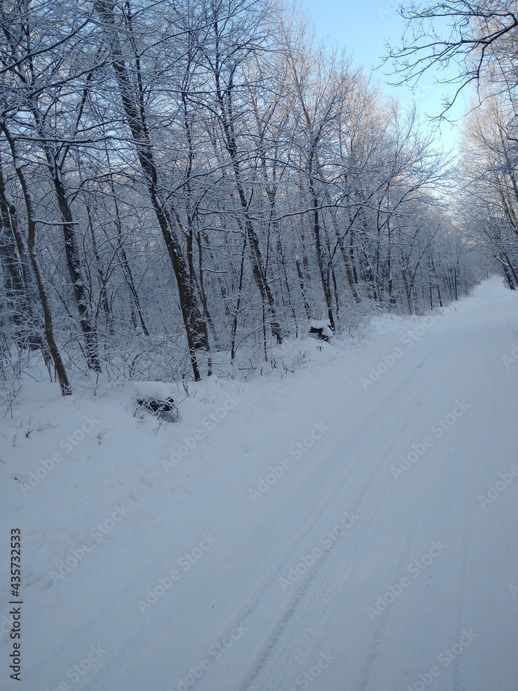snow covered road snow covered road