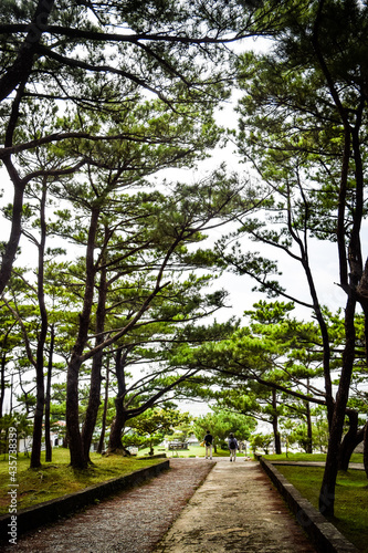 Fototapeta Naklejka Na Ścianę i Meble -  沖縄の風景を眺め歩く