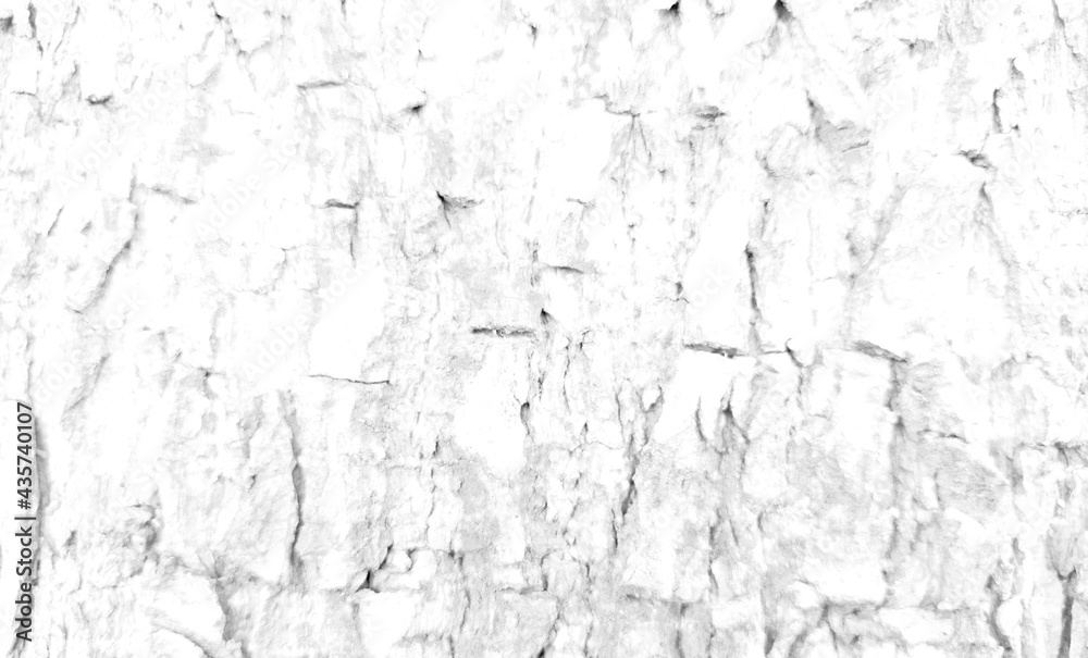 Obraz premium White rough bark texture in retro concept.