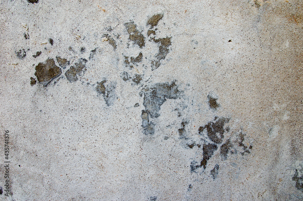 errazzo flooring seamless texture. Realistic vector pattern of mosaic floor with natural stones, granite, marble, quartz, concrete. Classic Italian floor. Repeatable design for decor, render, print errazzo flooring seamless texture. Realistic vector pattern of mosaic floor with natural stones, granite, marble, quartz, concrete. Classic Italian floor. Repeatable design for decor, render, print