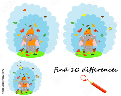find the difference, a cartoon elephant stands under an umbrella. a game for children. vector i