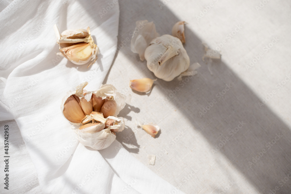 Close-up of garlic on a white tablecloth. Home plant growing, cooking and spices. Sunlight and trending hard shadows. High quality photo