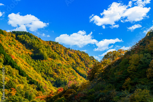 日本の秘境「五家荘・梅の木轟公園・樅木河合場線からの紅葉風景」標高1300～1700ｍ Japan's unexplored region 