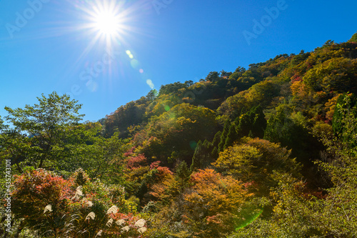 日本の秘境「五家荘・梅の木轟公園・樅木河合場線からの紅葉風景」標高1300～1700ｍ Japan's unexplored region 