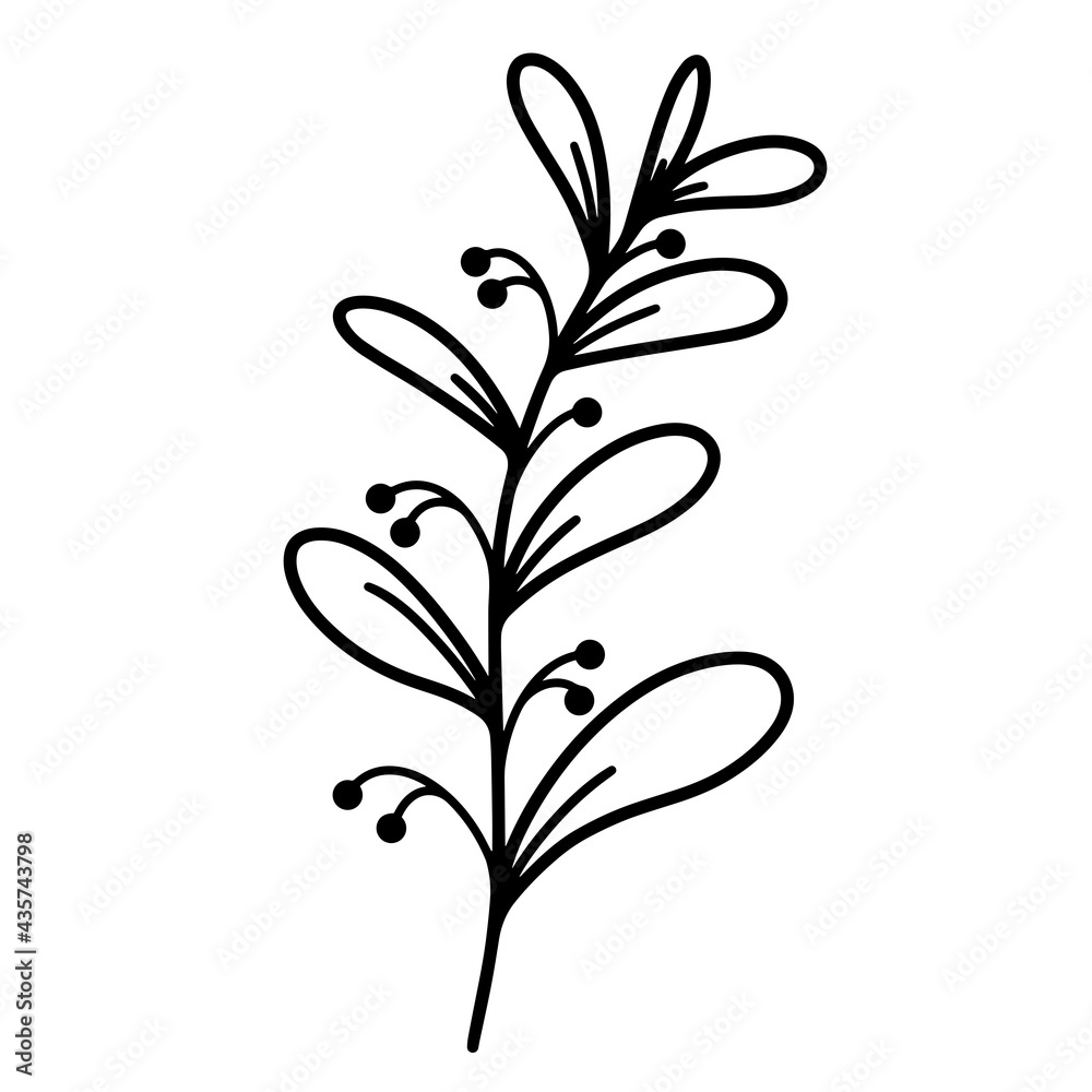 Twig with leaves and berries. Vector icon isolated on white background. Hand-drawn branch. Wild grass, black doodle. Plant outline