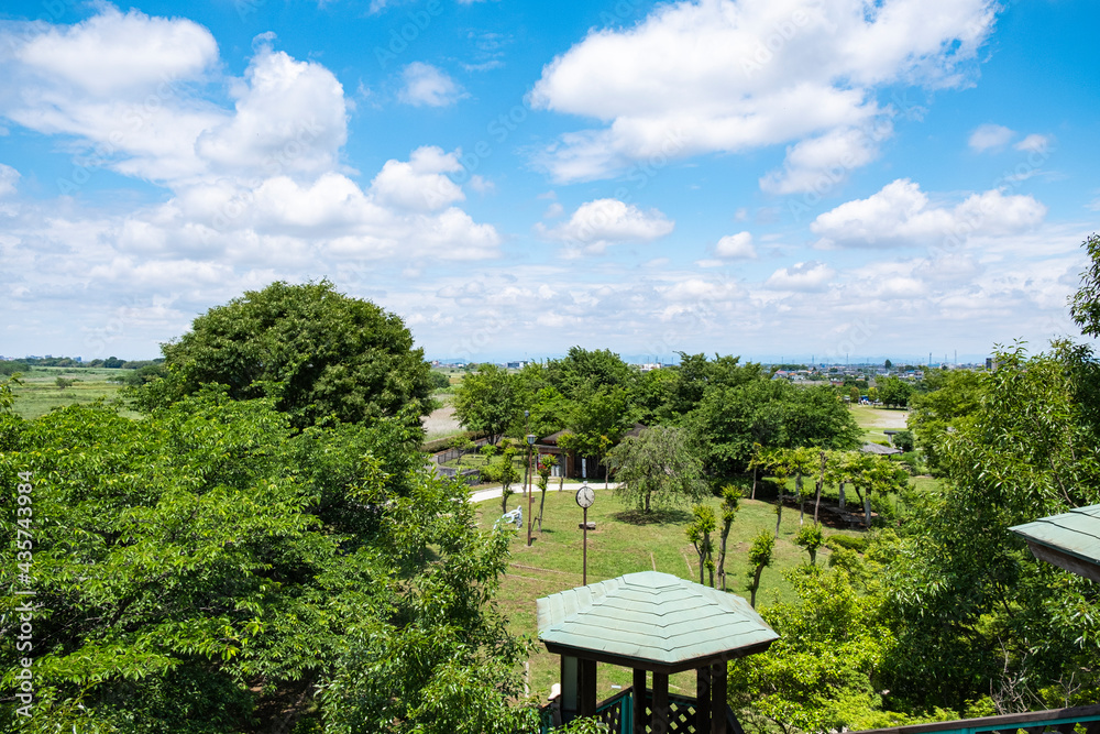 荒川パノラマ公園【2021 初夏】 荒川パノラマ公園【2021 初夏】