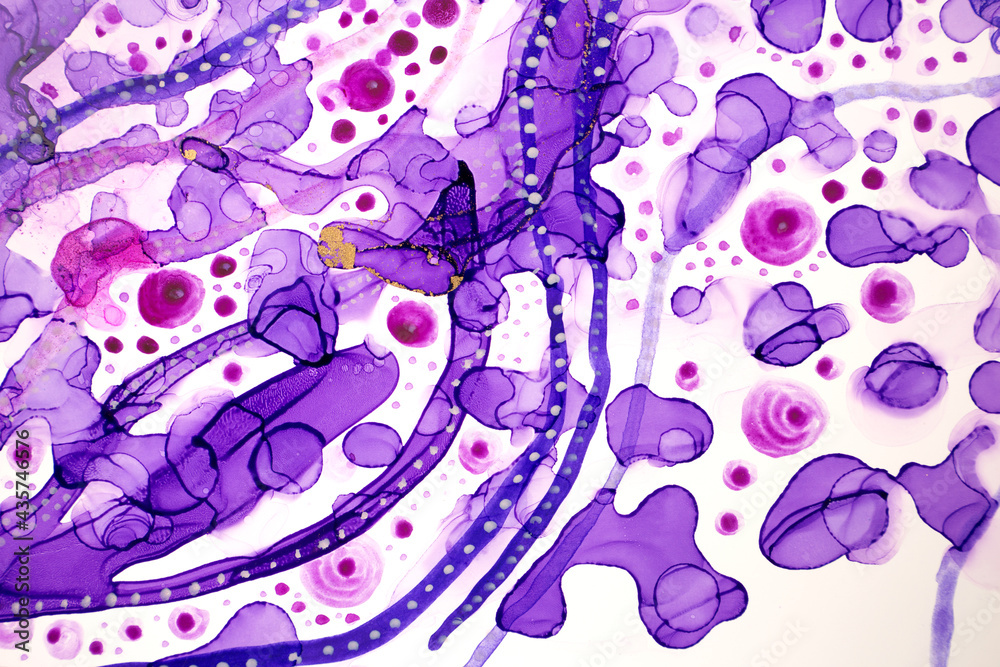 Obraz premium Transparent violet watercolor ink drops and spots background with gold glitter.