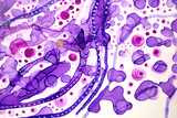 Transparent violet watercolor ink drops and spots background with gold glitter.