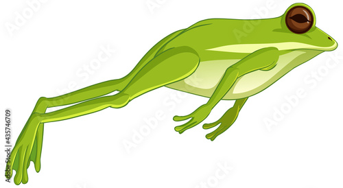 Green tree frog jumping isolated on white background