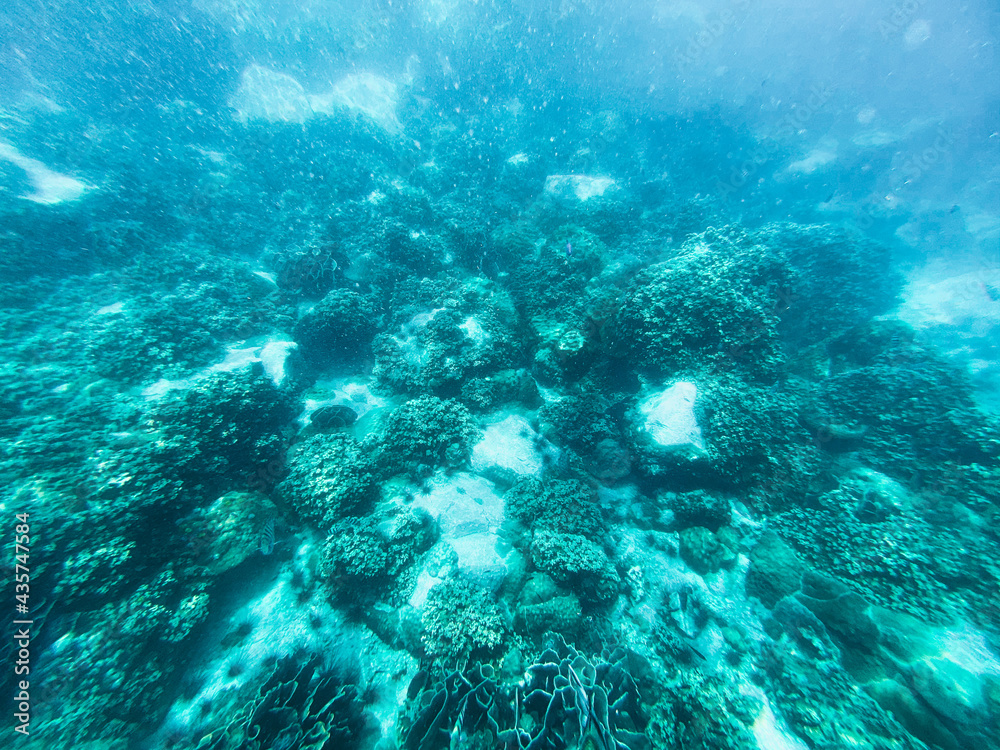Fototapeta premium Under the sea Travel in the diving sea