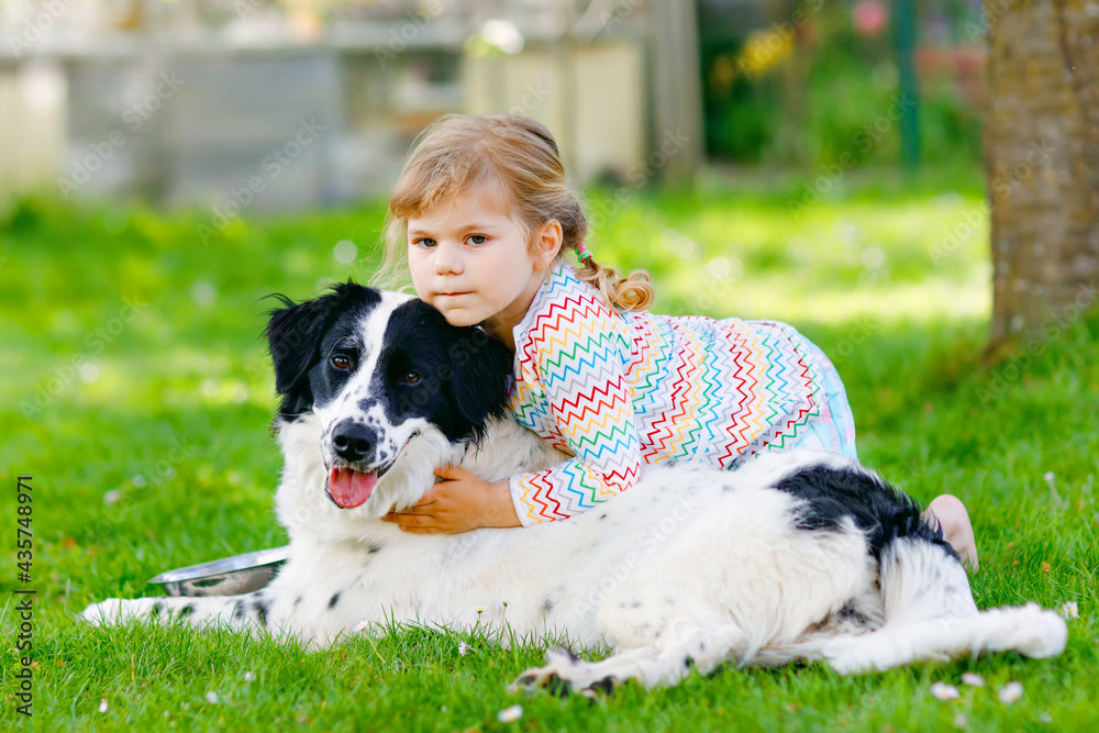 Cute little toddler girl playing with family dog in garden. Happy smiling child having fun with dog, hugging playing with ball. Happy family outdoors. Friendship between animal and kids Cute little toddler girl playing with family dog in garden. Happy smiling child having fun with dog, hugging playing with ball. Happy family outdoors. Friendship between animal and kids