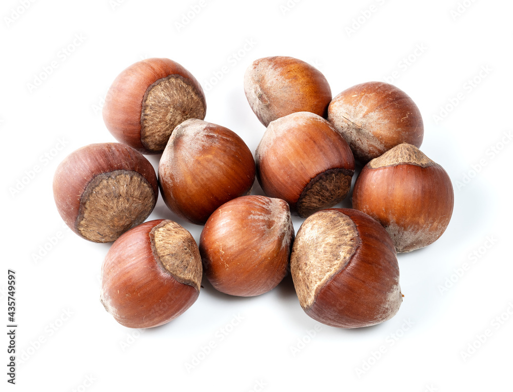 several unshelled hazelnuts closeup on white several unshelled hazelnuts closeup on white