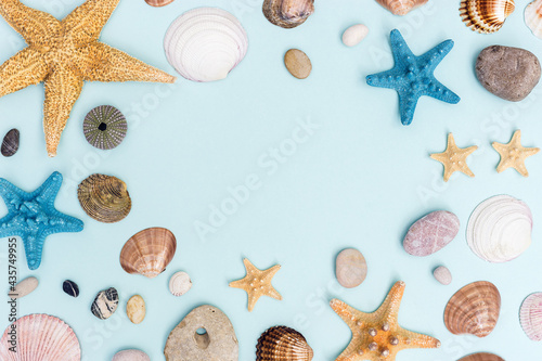 Summer frame from colorful sea stars, seashells, shellfishes, pebble stones on pastel blue with copy space.