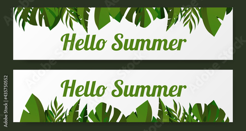 hello summer greeting banner card with green tropical leaves illustration concept