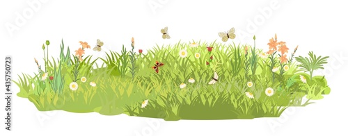Dense summer meadow with flowers. Butterflies. Grassy lawn green thickets. Grass area. Playground. Place. Beautiful landscape. Isolated on white background. Flat style. Cartoon design. Vector