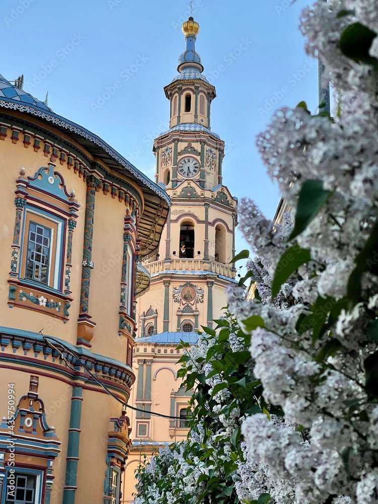 Blooming lilac against the background of the Peter and Paul Cathedral in Kazan, Russia