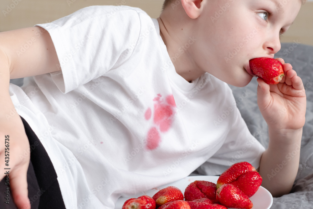 Boy sitting on the couch and eating strawberry and spilling juice on t-shirt. The concept of cleaning stains on clothes. Boy sitting on the couch and eating strawberry and spilling juice on t-shirt. The concept of cleaning stains on clothes.