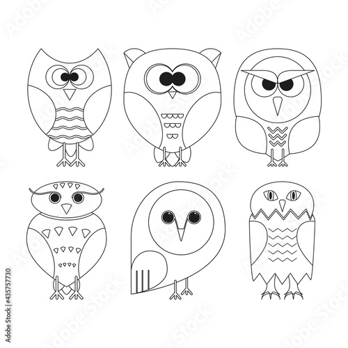 Set of outline owls on white.