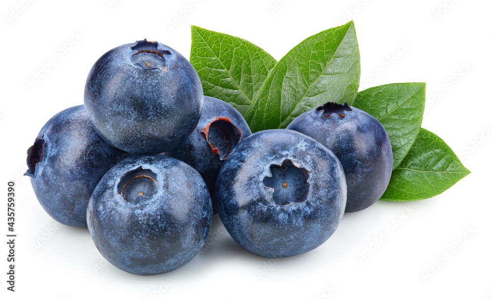 Organic blueberry isolated on white background Organic blueberry isolated on white background