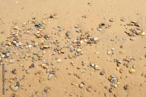 Small pebbles on wet sand  river bank in summer