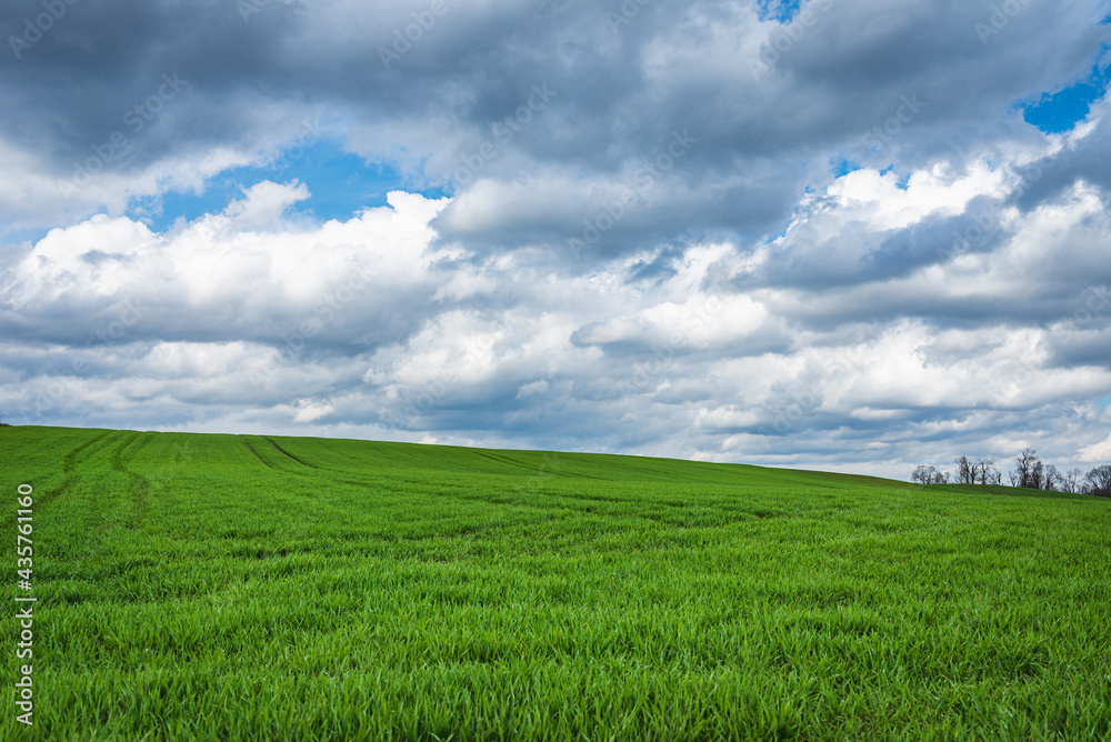 Green field and blue sky white cloud nature background.Farmland. Beautiful field against blue sky with white clouds. Green field and blue sky white cloud nature background.Farmland. Beautiful field against blue sky with white clouds.