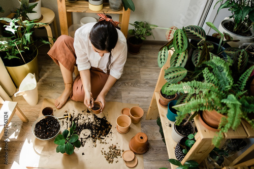 woman replanting potted plants, top view