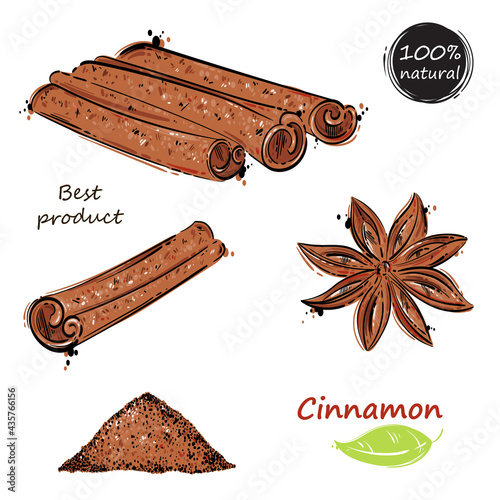 Vector abstract illustration of cinnamon. Spice. Hand drawing