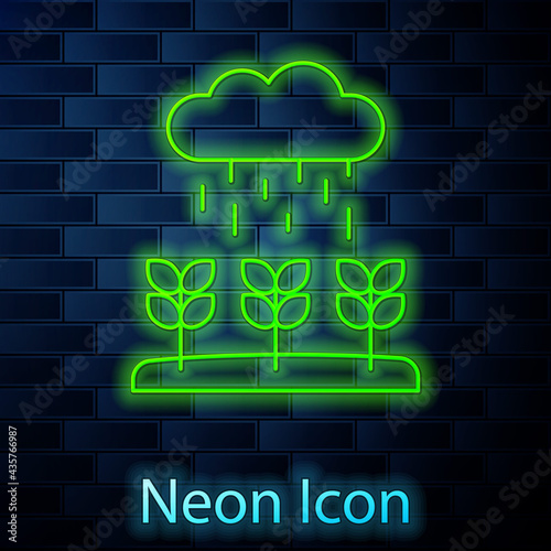 Glowing neon line Plant sprouts grow in the rain icon isolated on brick wall background. Seedling concept. Vector