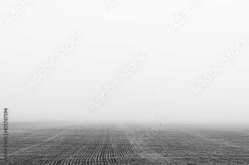 Agricultural field in the fog. Minimal composition, monochrome image. Place for text