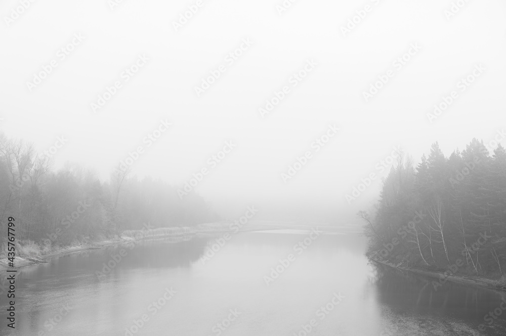 Fototapeta premium River surrounded by forest during fog. Minimal composition, monochrome image. Place for text